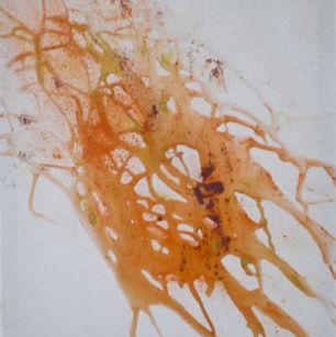 50 - pigment en vernis op canvas - 40x50 - 2018